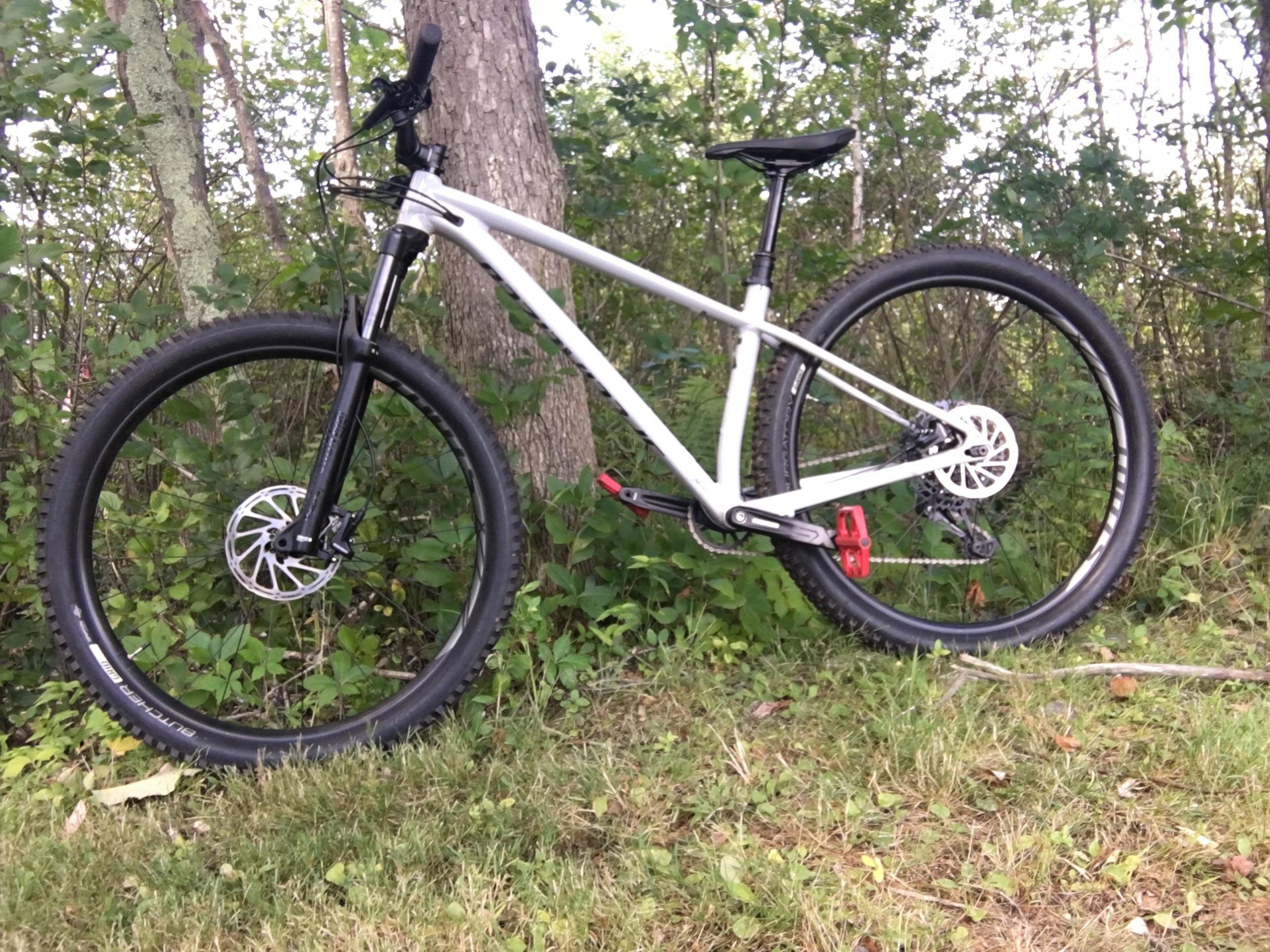Specialized Fuse comp: A mountain bike with a white frame and black front fork resting against a tree in a wooded area. The bike features large, rugged tires and a red pedal, surrounded by greenery and grass.