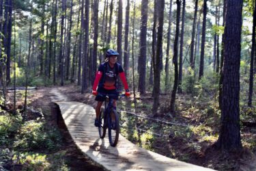 A cyclist riding a mountain bike on a wooden trail surrounded by tall trees in a sunlit forest. Mt. Zion Bike Trails mountain bike trail.