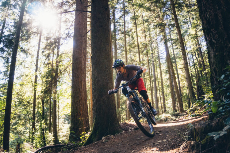 A mountain biker riding on a dirt trail through a dense forest, sunlight filtering through the trees. The cyclist is wearing a helmet and riding gear, leaning into a turn as they navigate the path surrounded by tall trees and greenery.