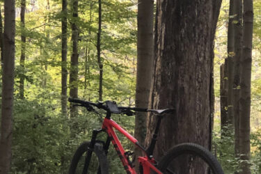 A bright red mountain bike leaning against a large tree in a lush green forest, surrounded by tall trees and fallen leaves on the ground. The scene captures the tranquility of nature during the day. Devou Park mountain bike trail.