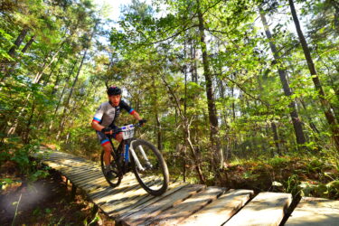 A mountain biker in a racing jersey rides on a narrow wooden bridge through a lush forest, surrounded by tall trees and vibrant greenery, capturing a dynamic moment of outdoor adventure. Mt. Zion Bike Trails mountain bike trail.
