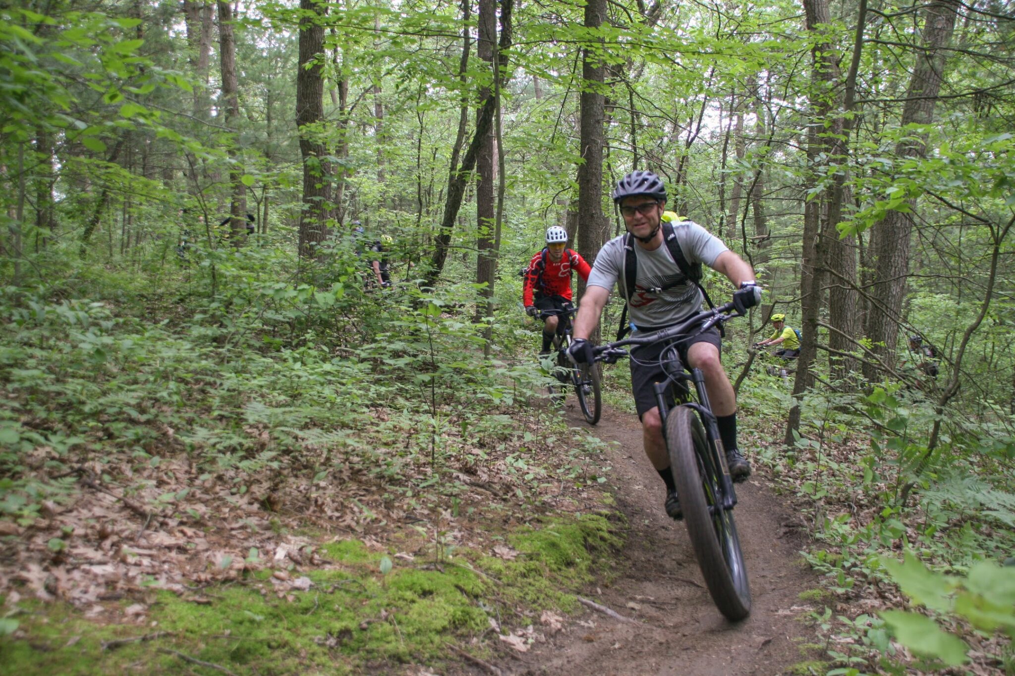 Turkey Point Mtb The Land of Sand: The Turkey Point, Ontario MTB Trails - Singletracks ...