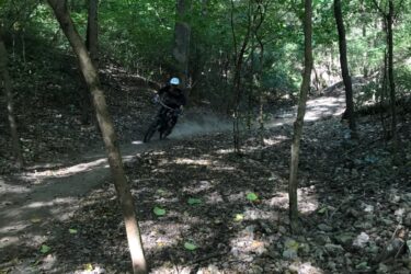 A mountain biker navigating a dirt trail through a wooded area, surrounded by tall trees and scattered leaves on the ground, with dust kicked up from the bike's tires. High Ground mountain bike trail.
