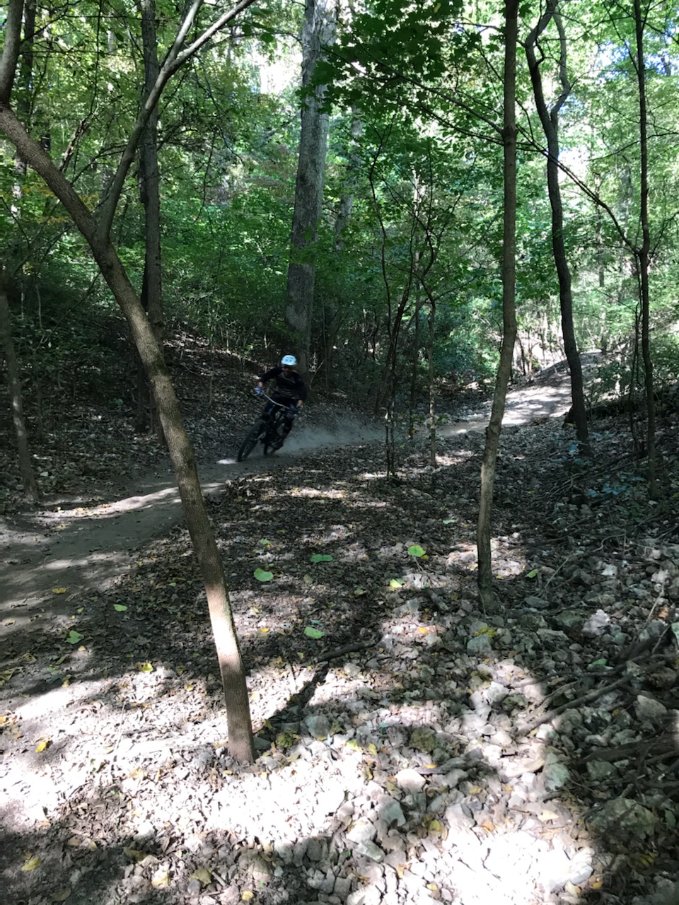 A mountain biker navigating a dirt trail through a wooded area, surrounded by tall trees and scattered leaves on the ground, with dust kicked up from the bike