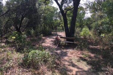 A serene wooded path in a natural setting, featuring a bicycle resting against a wooden bench under a tree. Surrounding vegetation includes shrubs and trees, creating a peaceful atmosphere for outdoor activities. Western Heritage Park mountain bike trail.
