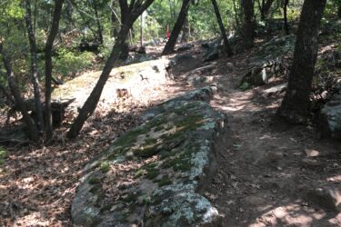 A winding dirt path throughout a wooded area, surrounded by trees and large rocks covered in moss, with scattered fallen leaves on the ground. Western Heritage Park mountain bike trail.