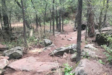 A natural hiking trail winding through a dense forest with various trees, rocky terrain, and patches of vegetation. The path is surrounded by greenery, including small bushes and ground cover, and features scattered rocks along the trail. Western Heritage Park mountain bike trail.