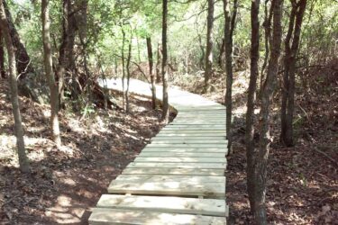 A wooden boardwalk winding through a forest, surrounded by trees and fallen leaves, with sunlight filtering through the foliage. Western Heritage Park mountain bike trail.