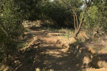 A dirt path winding through a wooded area, featuring a newly constructed wooden bridge crossing over a small ditch. The scene is surrounded by green trees and shrubs, with a partly cloudy sky visible overhead. Western Heritage Park mountain bike trail.
