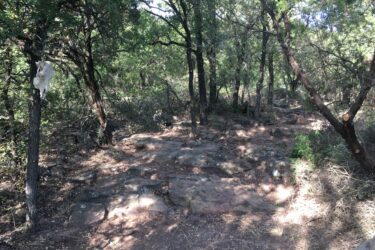 A forested path winding through a wooded area, with rocky terrain and patches of sunlight filtering through the trees. A piece of fabric is hanging from a tree, adding an intriguing detail to the natural setting. Western Heritage Park mountain bike trail.
