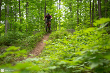 A mountain biker navigating a dirt trail through a lush green forest, with trees and foliage surrounding the path. The rider is airborne, leaping off a small jump while wearing a helmet and cycling gear. Sunlight filters through the trees, highlighting the vibrant colors of the scene. Flow mountain bike trail.