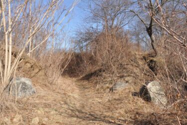 A narrow, overgrown path lined with bare trees and shrubs, leading through a natural landscape. Two large rocks are positioned on either side of the trail, with a clear blue sky overhead. Cannon Hills mountain bike trail.