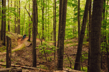 Mountain biker navigating a winding trail through a lush green forest, surrounded by tall trees and vibrant foliage. Down Dogger mountain bike trail.