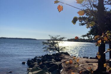 A serene view of a lake surrounded by rocky shorelines and trees, with bright autumn leaves in the foreground. The sun is shining brightly in a clear blue sky, casting reflections on the water and creating a peaceful atmosphere. Jetton Park mountain bike trail.