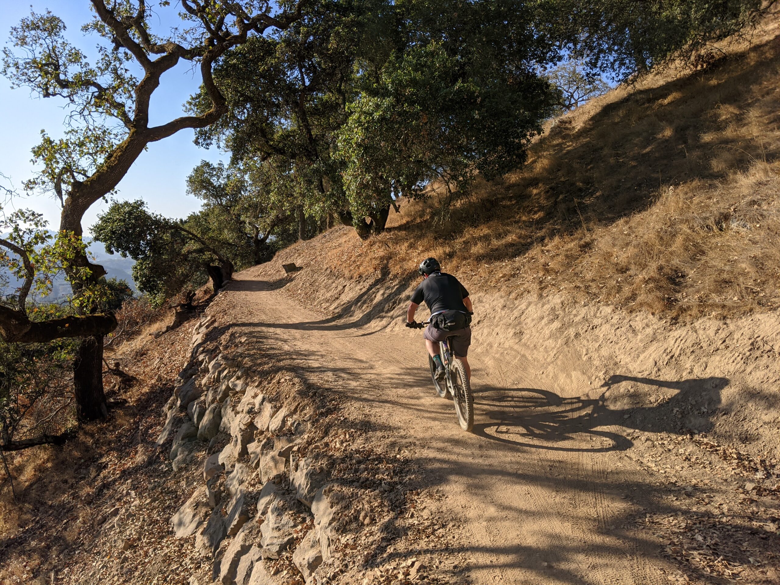 A mountain biker riding along a dirt trail surrounded by trees on a sunny day. The path winds through a wooded area, with rocky edges and dry vegetation on either side. Ponti Ridge Trail mountain bike trail.
