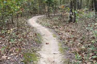 A winding dirt path surrounded by trees and underbrush, with fallen leaves scattered on the ground, leading into a peaceful forest. Springhill Park mountain bike trail.