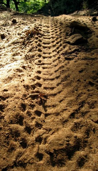 A close-up view of a sandy trail featuring distinct tire tracks, showcasing the pattern left in the sand. The sunlight casts a warm glow over the scene, highlighting the texture of the sand and the surrounding natural elements.