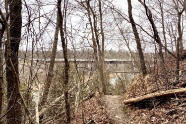A winding dirt trail surrounded by bare trees and fallen leaves, with views of a bridge in the distance. The scene captures the tranquility of a wooded area in early spring or late fall. Hardy Rd. Trail mountain bike trail.