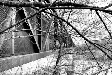 Black and white photograph of a bridge partially obscured by bare tree branches, showcasing a contrast between the man-made structure and the natural elements surrounding it. The composition emphasizes the texture of the tree limbs and the geometric lines of the bridge. Hardy Rd. Trail mountain bike trail.