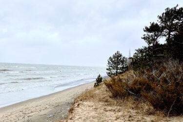 A sandy beach with gentle waves lapping at the shore, framed by patches of grass and shrubs. In the distance, a row of trees lines the beach, under a cloudy sky. The scene conveys a tranquil coastal atmosphere. Pinery Provincial Park mountain bike trail.