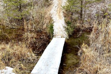A narrow dirt path leading up a hill surrounded by pine trees, with a small wooden bridge crossing over a shallow creek at the base. Concrete blocks are positioned near the bridge, partially covered in light snow and surrounded by tall grasses and leafless plants. Lambton County Heritage Forest mountain bike trail.