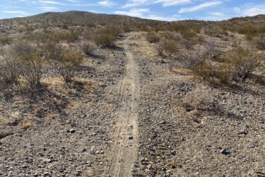 A dirt path winding through a rocky, arid landscape, surrounded by sparse vegetation and small bushes, under a clear blue sky with wispy clouds. The trail leads towards a distant, gently rising hill. Wayne's World mountain bike trail.