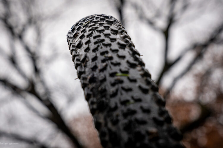 Close-up view of a bicycle tire with a textured tread pattern, set against a blurred background of bare tree branches and a gray sky.