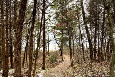 A narrow dirt path winding through a wooded area, lined with tall, bare trees and sparse greenery. The ground is covered with fallen leaves and patches of snow, and the path leads towards a lighter area in the distance, suggesting an opening in the forest. The scene has a calm, tranquil atmosphere. Pinery Provincial Park mountain bike trail.