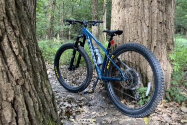 A blue mountain bike leaning against a large tree in a wooded area, surrounded by green foliage and scattered autumn leaves on the ground. Lawrence Riverfront Trails mountain bike trail.