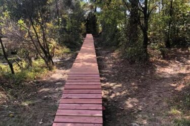 A wooden pathway extending through a forested area, bordered by trees and underbrush, leading into a grassy clearing. The pathway is composed of planks arranged end-to-end, with visible dirt on either side, suggesting it is intended for walking or biking. Springhill Park mountain bike trail.