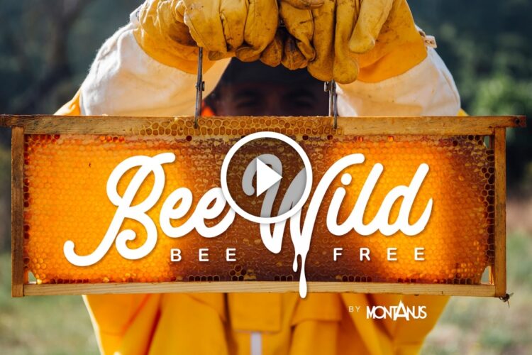A person wearing protective gloves holds a wooden frame filled with honeycomb, featuring the stylized text "Bee Wild, Bee Free" in white and orange. The background shows a natural outdoor setting with greenery.