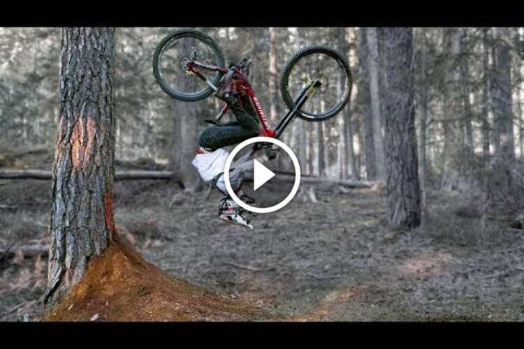 A mountain biker performing a flip over a dirt mound in a forested area with tall trees in the background. The biker is airborne, with the bike upside down and the rider in mid-action.