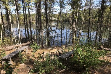 A serene lakeside scene featuring two wooden benches positioned near a calm body of water, surrounded by tall trees and lush greenery. Sunlight filters through the leaves, creating a peaceful atmosphere, perfect for relaxation or contemplation. Tabula Rasa mountain bike trail.