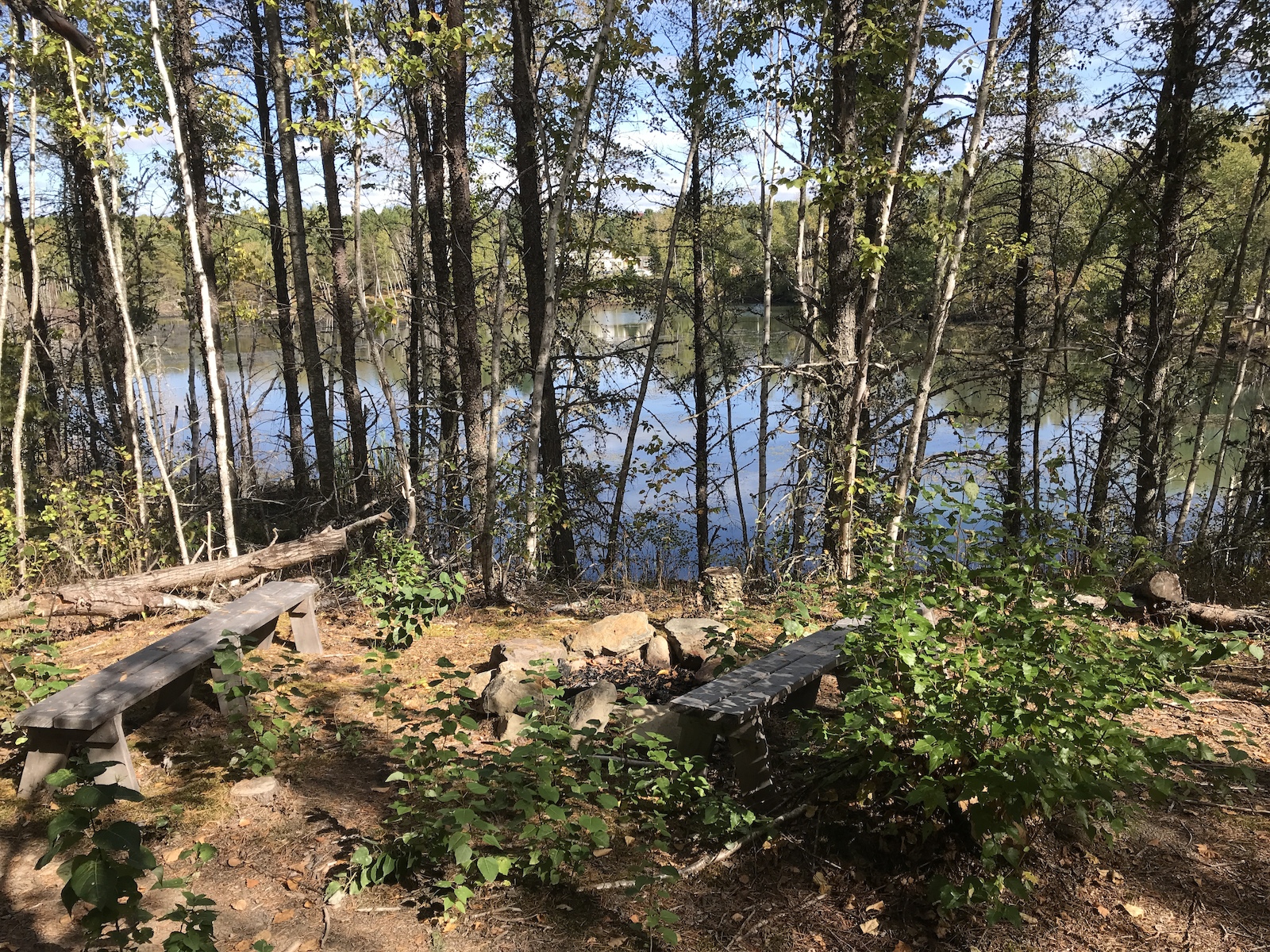 A serene lakeside scene featuring two wooden benches positioned near a calm body of water, surrounded by tall trees and lush greenery. Sunlight filters through the leaves, creating a peaceful atmosphere, perfect for relaxation or contemplation. Tabula Rasa mountain bike trail.