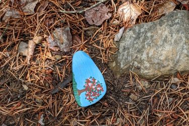 A painted rock depicting a tree with red and green leaves, resting on a ground covered with pine needles and scattered leaves. Tabula Rasa mountain bike trail.