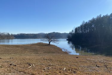 A serene landscape featuring a calm lake surrounded by grassy shores and a single bare tree. In the background, hills are visible under a clear blue sky, reflecting a peaceful winter scene. The water is still, creating a mirror-like surface that enhances the tranquility of the environment. Warrior Creek mountain bike trail.