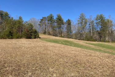 A grassy landscape with a gently sloping hill leading up to a tree line under a clear blue sky. The foreground features dry, brown grass, while the hill is partially covered with green patches. Various trees, including evergreens and bare deciduous trees, are visible in the background. Warrior Creek mountain bike trail.