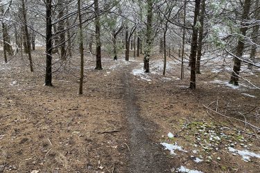 A narrow dirt path winding through a forest of trees, some of which are lightly dusted with frost. The ground is covered with fallen leaves and patches of snow, creating a serene winter atmosphere. The trees are bare, with sparse green foliage visible, and the scene is shrouded in a misty light. Lehigh Portland Trails mountain bike trail.
