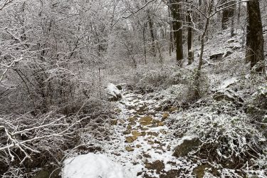 A snow-covered hiking trail winding through a forest, with trees and bushes blanketed in white. Rocks and patches of snow line the path, creating a serene winter landscape. Lehigh Portland Trails mountain bike trail.