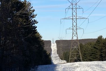 A snow-covered landscape with tall power lines running through it. There are evergreen trees on both sides of a wide, snowy path that leads to a distant hill under a clear blue sky. Strachan Tract mountain bike trail.