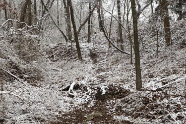 A snow-covered pathway winding through a dense forest, with trees and brush lightly dusted in white. The ground is a mix of brown leaves and snow, creating a serene winter landscape. Lehigh Portland Trails mountain bike trail.