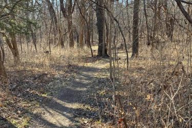 A winding dirt path through a wooded area, surrounded by bare trees and dried foliage on a sunny day. Charcoal Loop mountain bike trail.