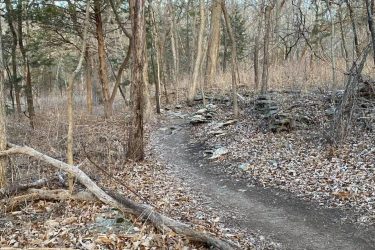 A winding dirt path through a wooded area, lined with leafless trees and scattered rocks. The ground is covered with dry leaves, and the scene conveys a serene, natural environment. Indigo Loop mountain bike trail.