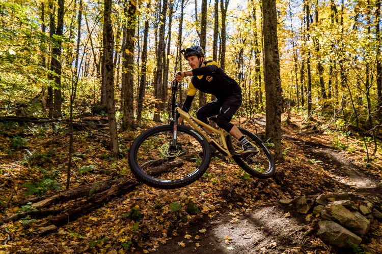 A mountain biker performing a jump on a trail surrounded by trees with colorful autumn foliage. The rider is wearing a helmet and sports attire, showcasing dynamic motion as they navigate a dirt path covered with fallen leaves.