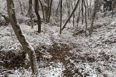 A snow-covered forest path surrounded by bare trees and frosted underbrush, creating a serene winter landscape. Lehigh Portland Trails mountain bike trail.