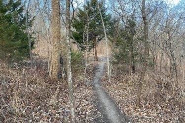A narrow dirt path meanders through a wooded area, surrounded by trees with sparse leaves and dry foliage. The scene suggests a serene outdoor environment, with a clear blue sky visible in the background. Indigo Loop mountain bike trail.