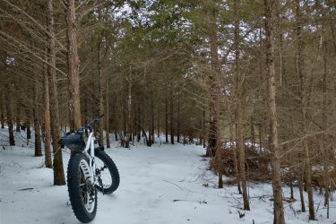 A white fat bike with large tires is parked on a snow-covered path among tall, thin trees in a forest setting. The ground is blanketed in snow, and the surrounding trees are green and bare, indicating a chilly winter day. Lake LaShane Trail mountain bike trail.