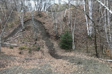 A winding dirt path surrounded by trees and fallen leaves, leading down a hillside towards a river in a forested area. The landscape features birch trees and patches of green foliage among the earthy tones of autumn. Castor mountain bike trail.