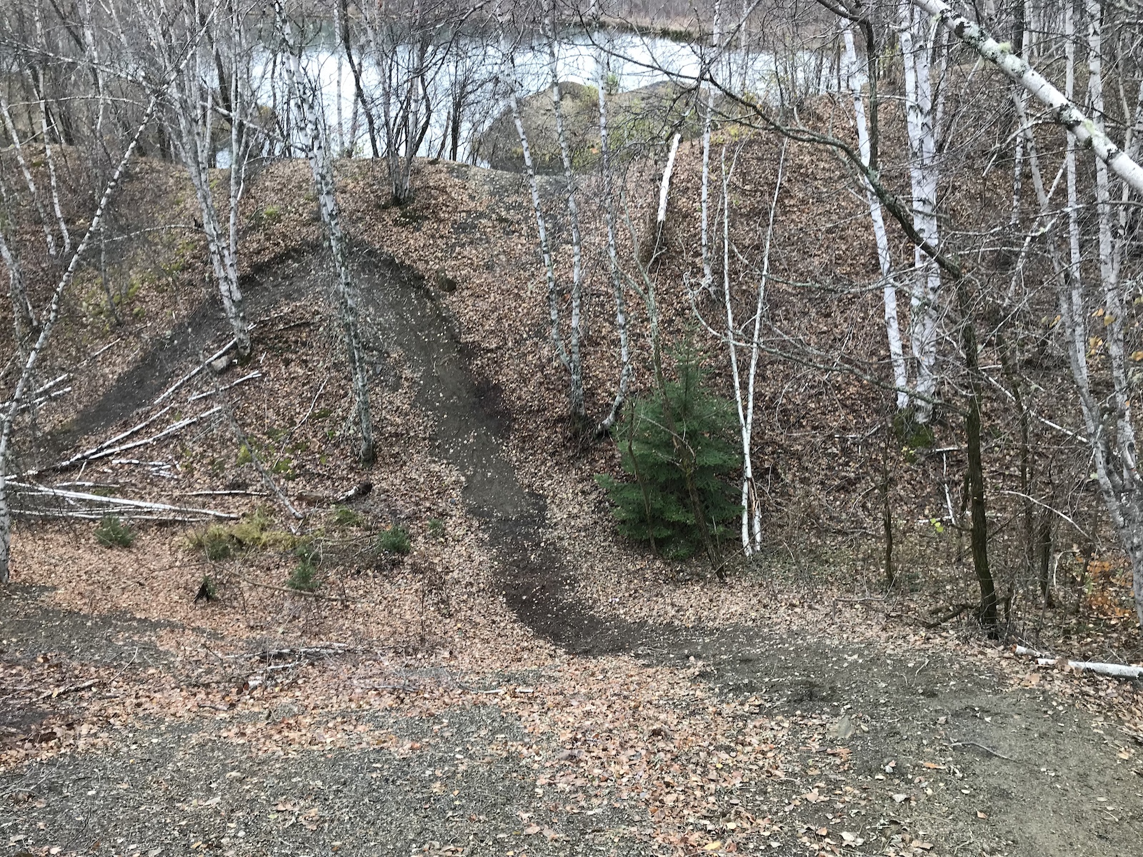 A winding dirt path surrounded by trees and fallen leaves, leading down a hillside towards a river in a forested area. The landscape features birch trees and patches of green foliage among the earthy tones of autumn. Castor mountain bike trail.