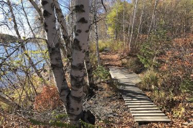 A wooden pathway leads through a forested area near a lake, with birch trees and colorful foliage in autumn. The scene is bright with sunlight, showcasing a blend of greenery and fall colors. Scotia Banks mountain bike trail.